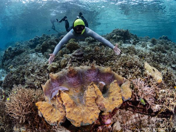 North Sulawesi and Raja Ampat snorkel safari
