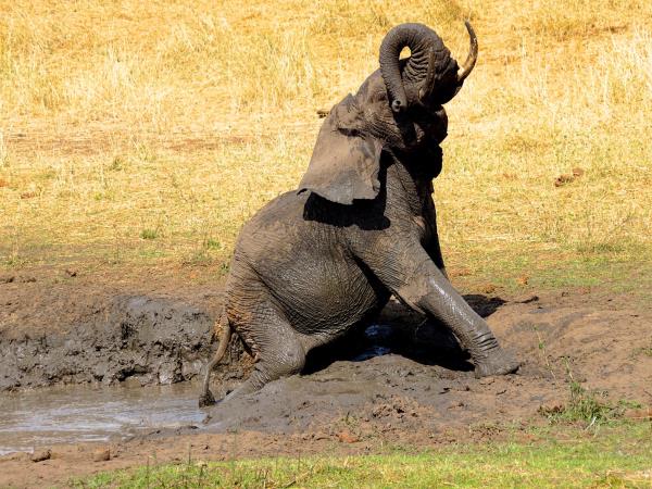 Volunteer teaching holiday in Tanzania