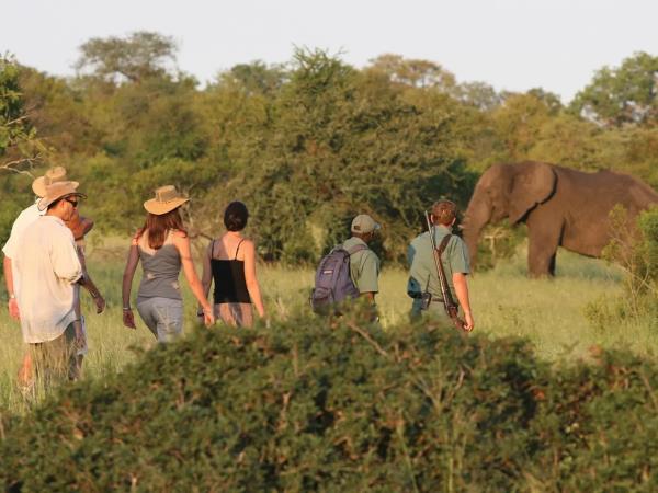 South Africa & Vic Falls active adventure