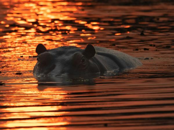 South Africa & Vic Falls active adventure
