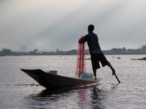 Myanmar cycling, birdwatching & culture tour