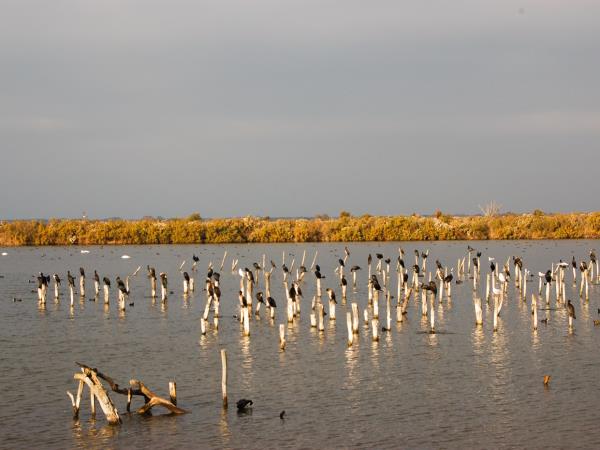 Arcachon Bay cycling holiday, France