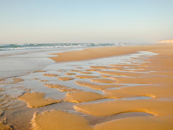 Arcachon Bay cycling holiday, France