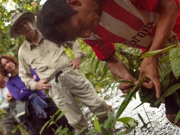 Machu Picchu and Amazon holiday, Peru