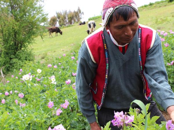 Machu Picchu and Amazon holiday, Peru