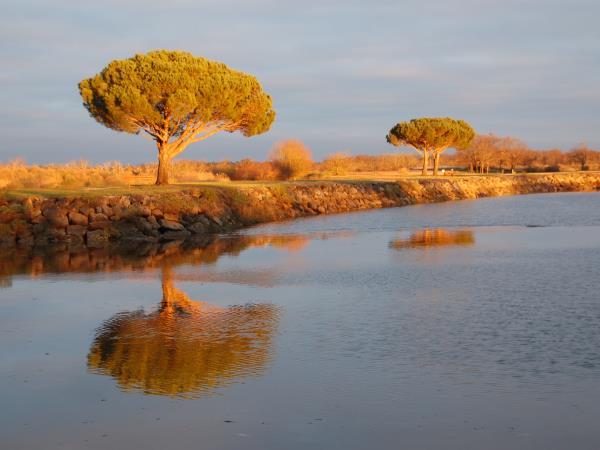 Arcachon Bay cycling tour, France
