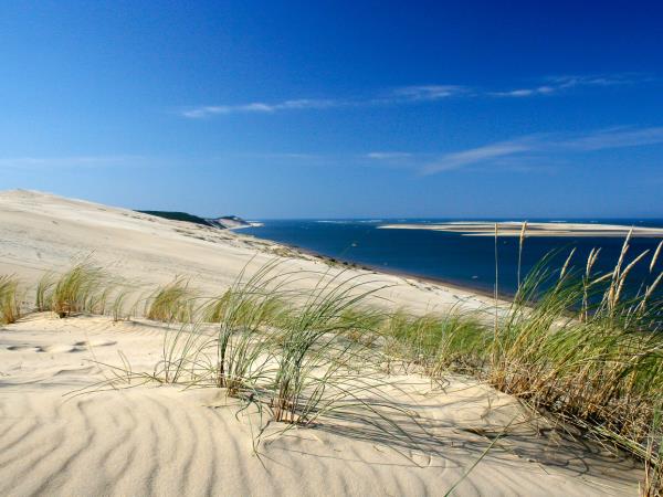 Arcachon Bay cycling tour, France