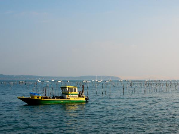 Arcachon Bay cycling tour, France