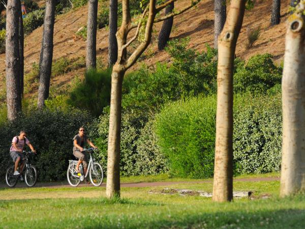 Arcachon Bay cycling tour, France