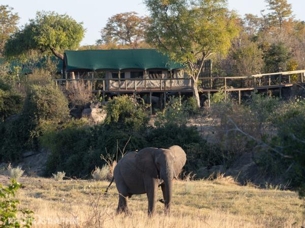 Victoria Falls, Hwange and Mana Pools, Zimbabwe
