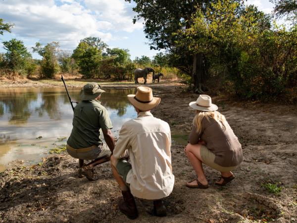 Victoria Falls, Hwange and Mana Pools, Zimbabwe