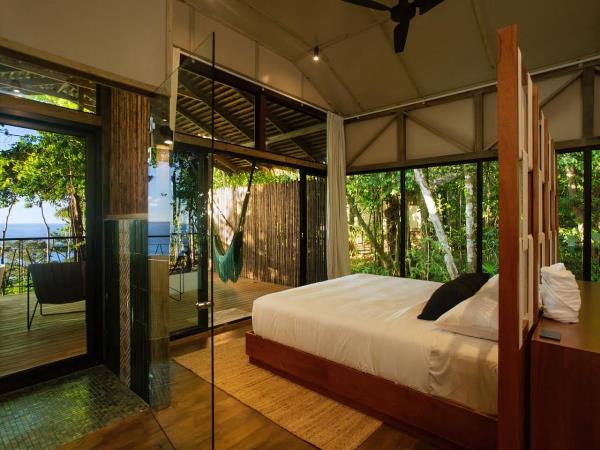 Costa Rica wildlife & wilderness tour