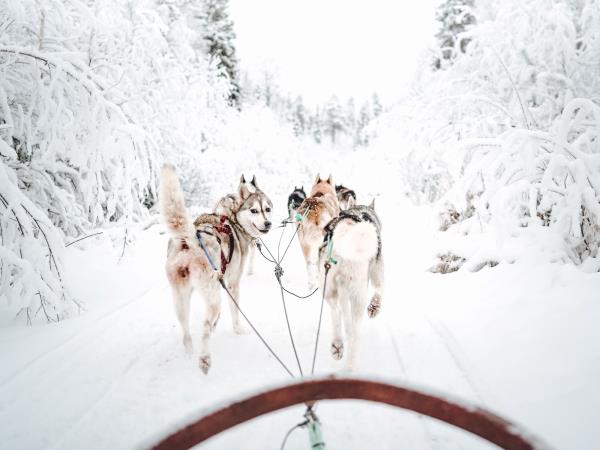 Authentic Finnish winter retreat, 4 days