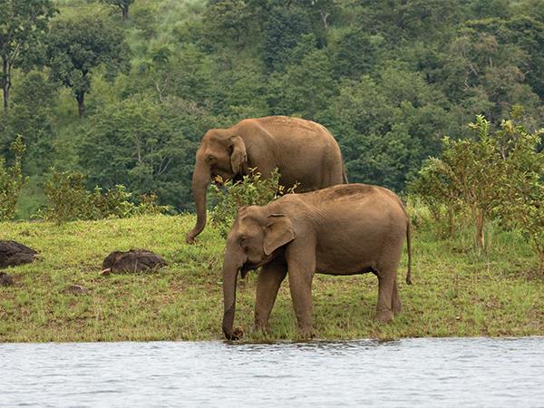 Highlights of Kerala holiday, small group