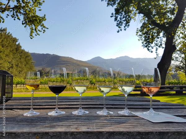 South Africa, wine, whales & safari self drive holiday 
