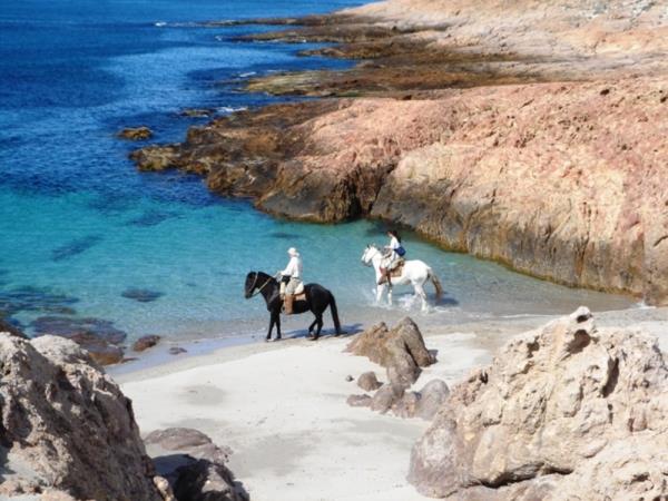 Bah�a Bustamante wildlife holiday, Argentina
