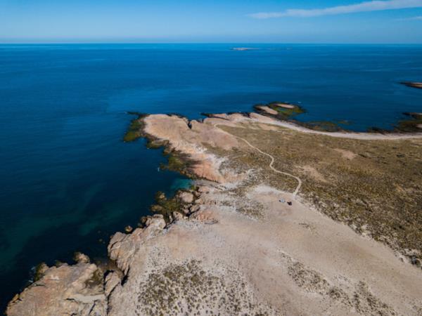 Bah�a Bustamante wildlife holiday, Argentina