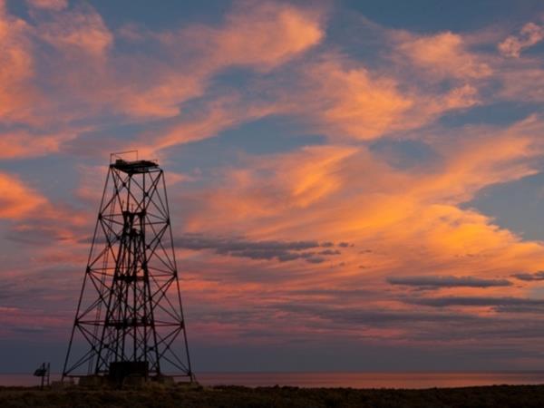 Bah�a Bustamante wildlife holiday, Argentina