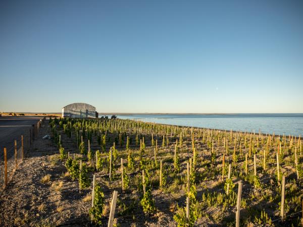 Bah�a Bustamante wildlife holiday, Argentina