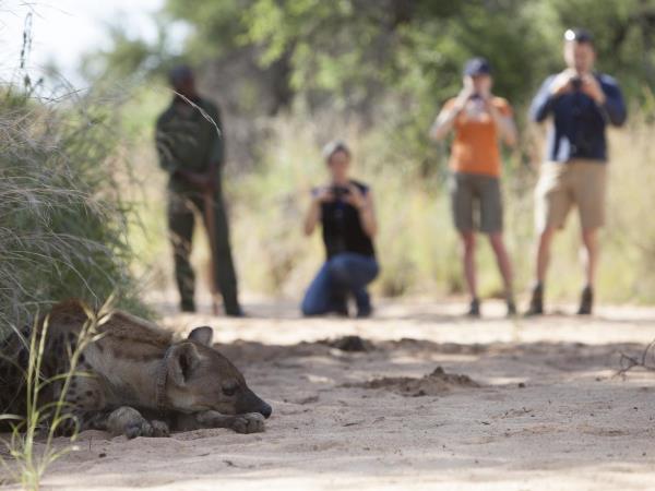 Northern Namibia self drive safari