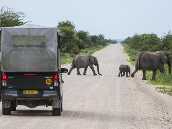 Northern Namibia self drive safari