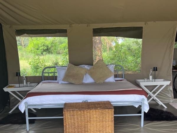 Kenya wildlife volunteering holiday