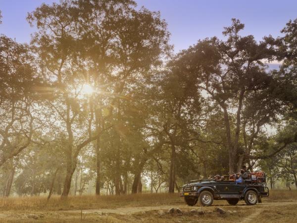 Golden Triangle and Central India tiger safari 