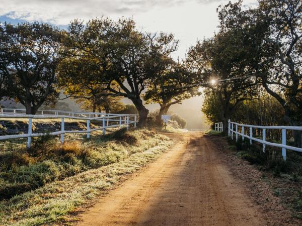 Horseback safari in South Africa
