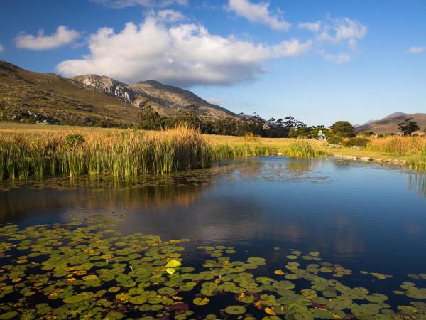 Horseback safari in South Africa
