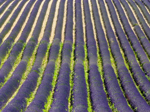 Provence walking and spa holiday, France