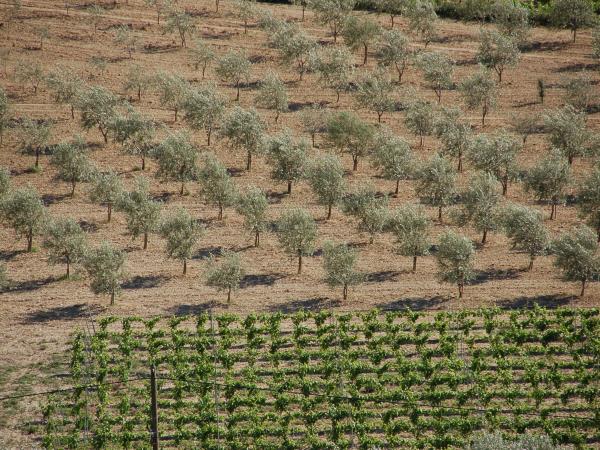 Provence walking and spa holiday, France