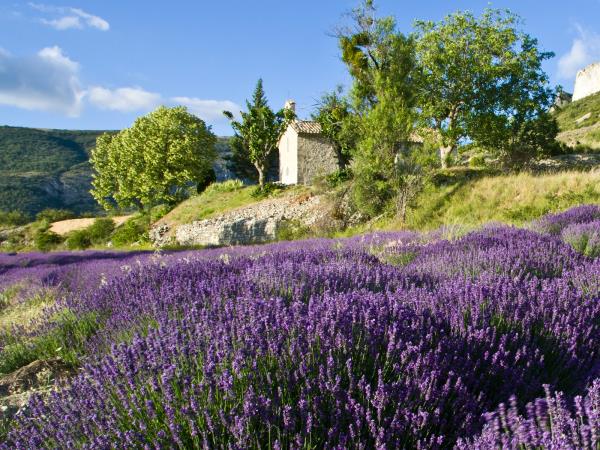 Provence walking and spa holiday, France