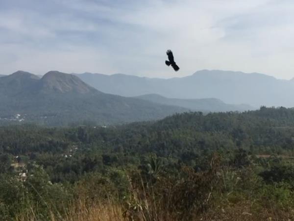 South India community volunteering holiday