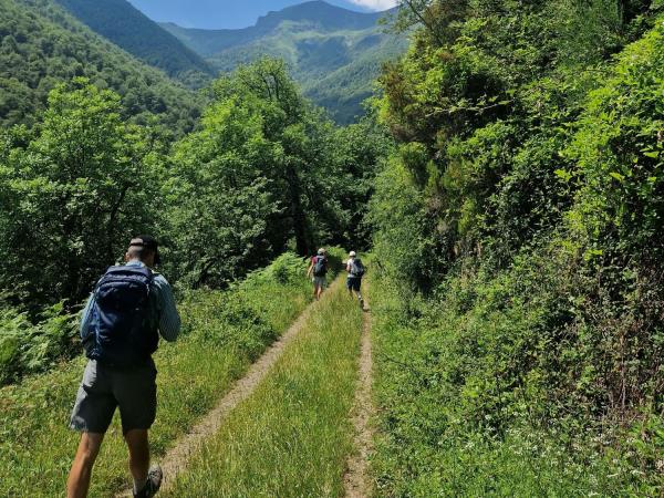 Picos de Europa small group walking holiday, Spain