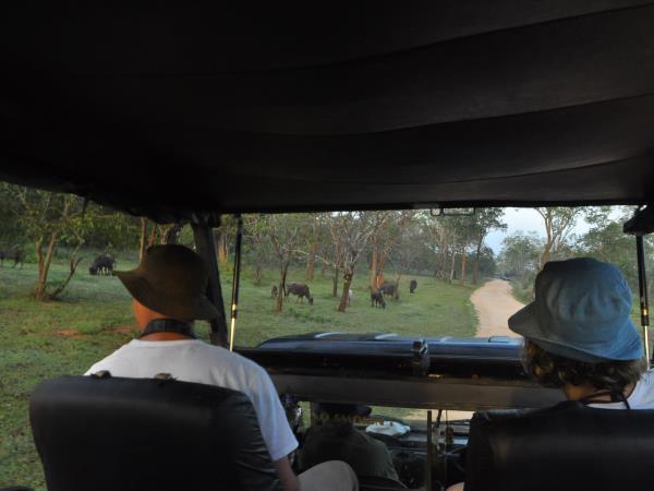 Yala wildlife tour in Sri Lanka