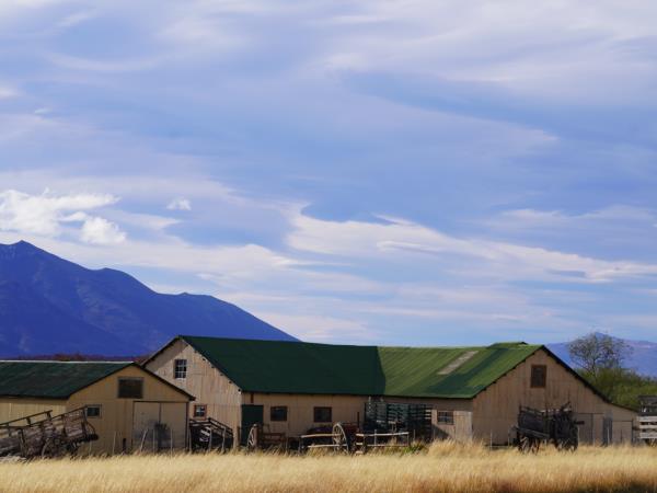El Calafate & El Chalt�n holiday, Patagonia