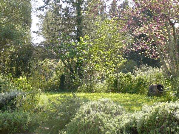 Corfu self catering cottages, Greece