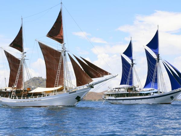 Luxury Japan tour and Indonesia cruise