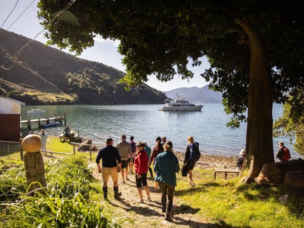 Marlborough Sounds small ship cruise in New Zealand