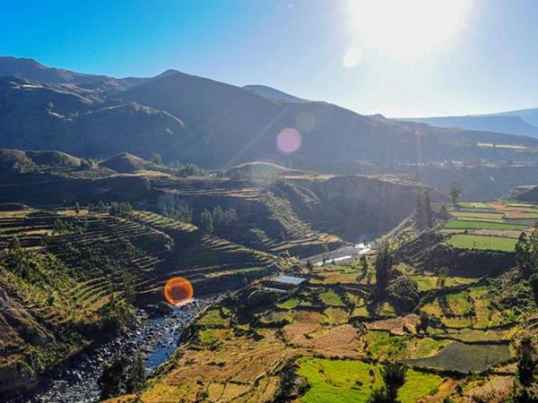 Colca Canyon trek in Peru