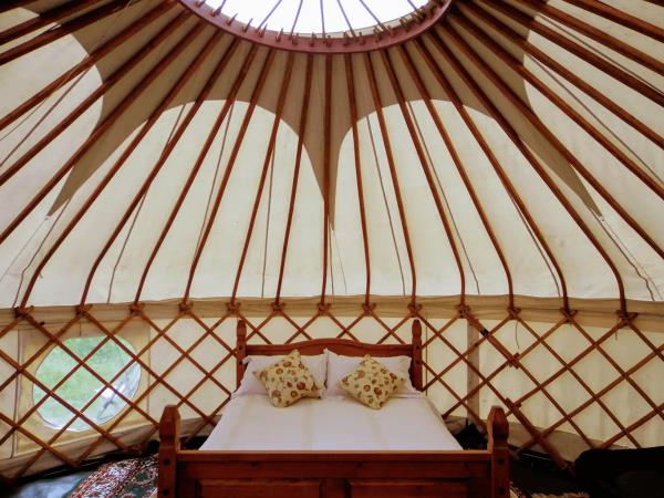 Horse riding and sustainability holiday in the South Downs