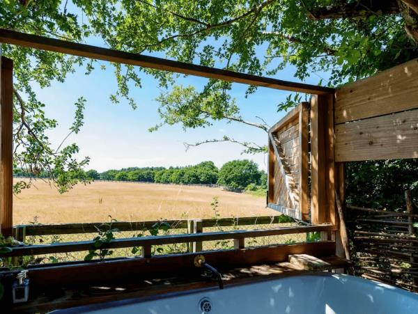 Horse riding and sustainability holiday in the South Downs