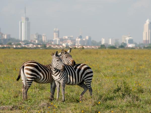 Highlights of Kenya holiday in luxury