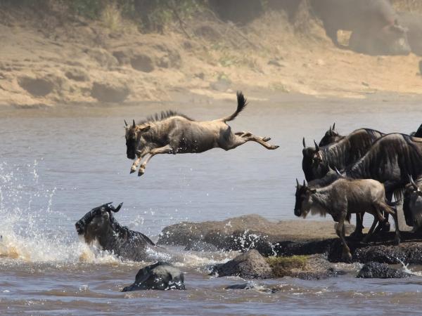 Highlights of Kenya holiday in luxury