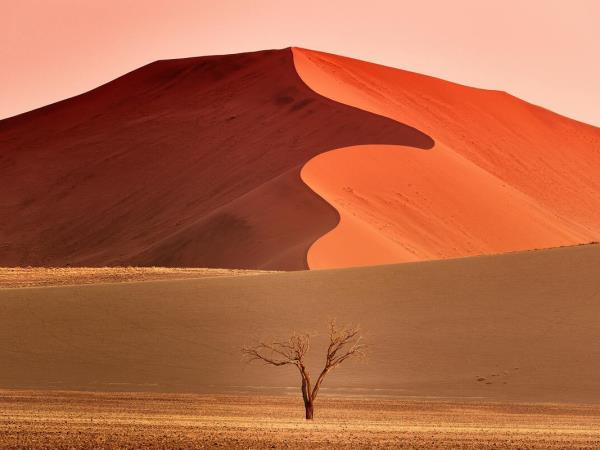 Namibia rhino tracking holiday