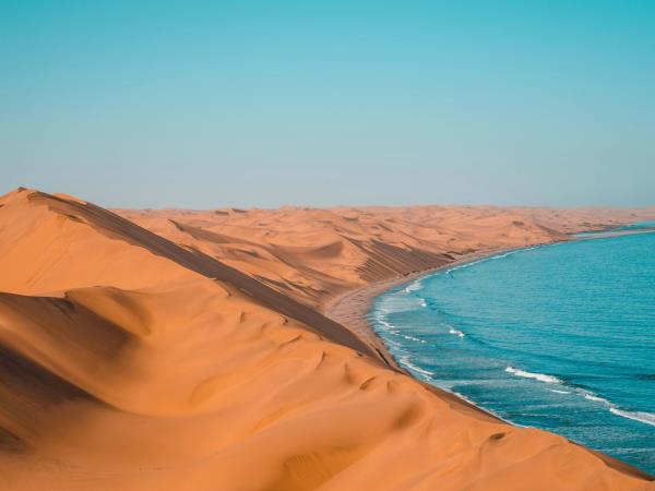 Namibia rhino tracking holiday