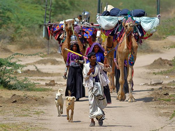 Gujarat and Rajasthan holiday 