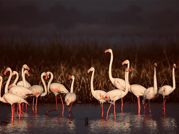 Gujarat and Rajasthan holiday 