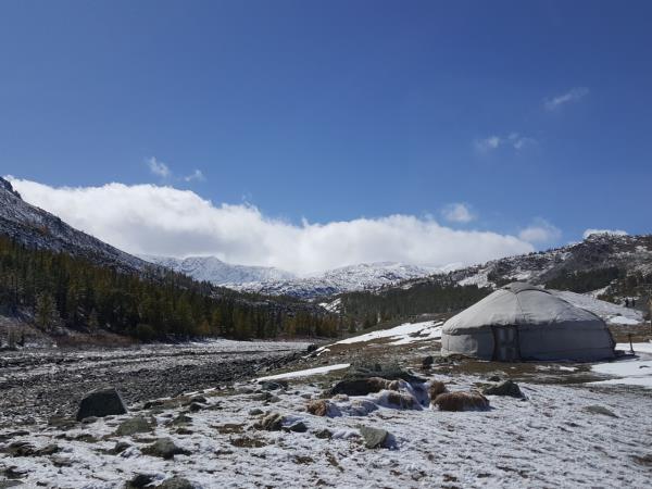 Mongolia holiday with eagle hunters