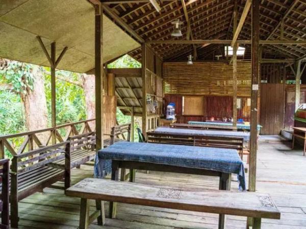 Borneo 8 day tour, the wild heart of Borneo 